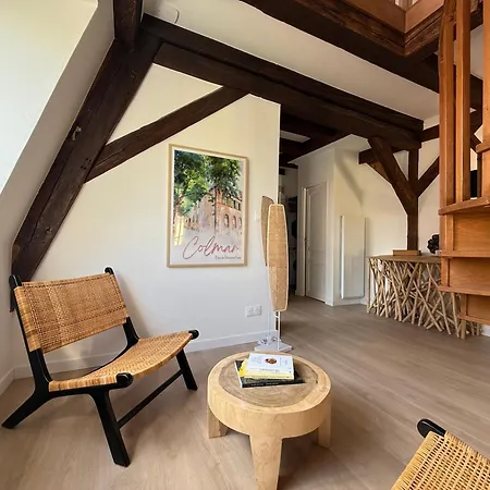 Le Jolie Duplex Colmar