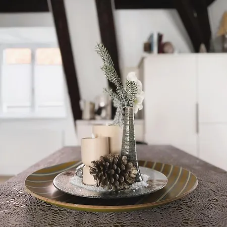 شقة Le Jolie Duplex كولمار