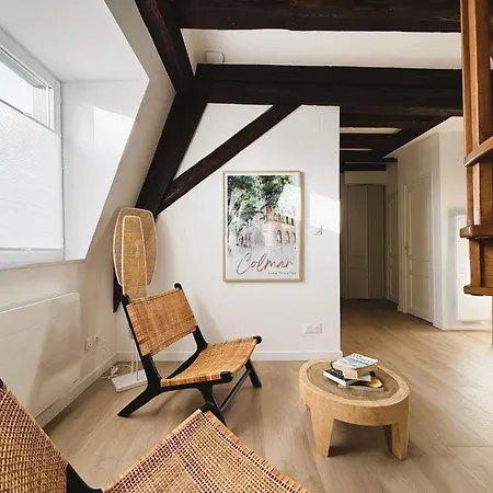 Le Jolie Duplex * كولمار