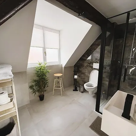 Lägenhet Le Jolie Duplex Colmar