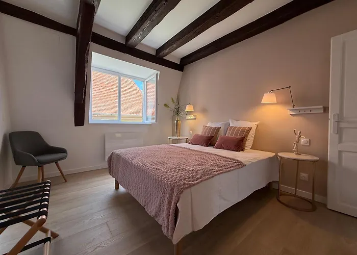 Le Jolie Duplex Lejlighed Colmar