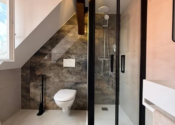 Le Jolie Duplex Кольмар