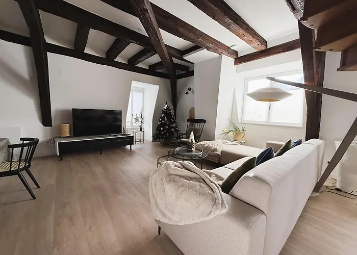 Lejlighed Le Jolie Duplex Colmar