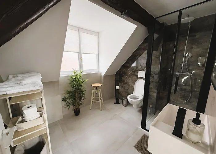 Апартаменты Le Jolie Duplex Кольмар